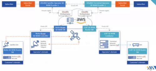 淺析基于衛(wèi)星通信的軟件定義網(wǎng)絡(luò) 網(wǎng)絡(luò)與信息安全軟件開(kāi)發(fā)的新范式
